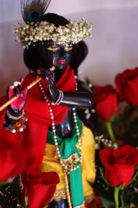 Krishna-deity