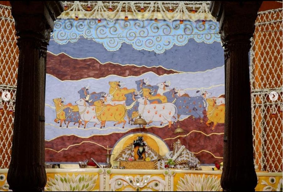 red cows passing through illustratied backdrop on shri radharaman temple altar