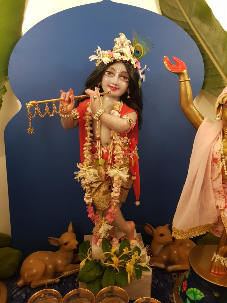 Shri Vanvihari Krishna deity my personal lord dressed with a beautiful flowery garland. Honeysuckle and kalanchaoe flowers make the flower mala for krishna deity and deity also wears a flower crown. blue background and deer at his feet