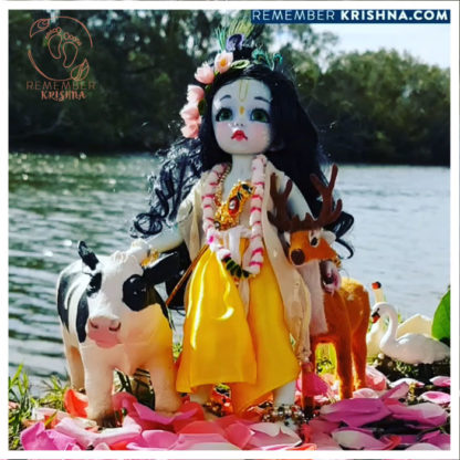 Gopal Sri Krishna with animal friends by bank of jamuna Gopal krsna doll