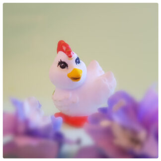 Rooster