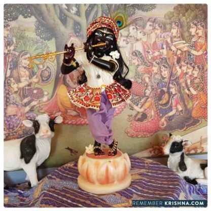 black marble krishna deity gyanasyam murti of krishna 15 inch size on 3 inch base tall and gorgeous black syamasundar