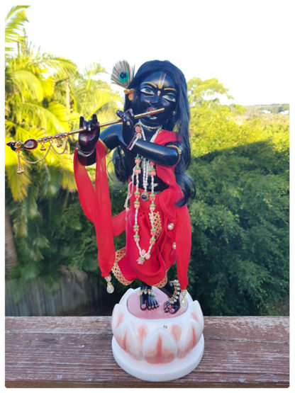 gyanasyam 16 inch deity in black marble with red outfit against forest bacdrop