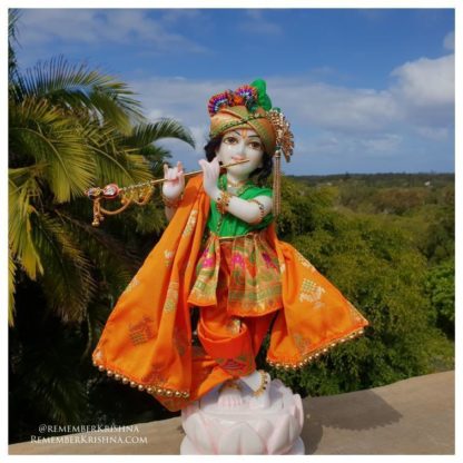 Narayan white marble krishna deity wearing green and orange colors against a forest background