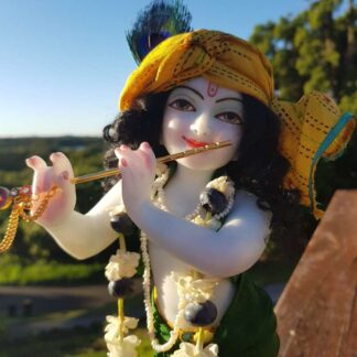 Krishna deity 12 inch on lotus base sri Hari with a garland of jasmine and berries, on a blue background wearing a yellow turban and dhoti