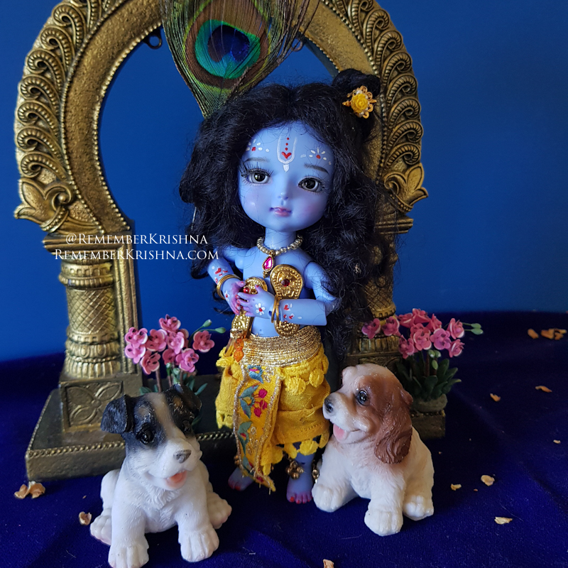 Krishna with puppy friends and nanda maharaj shoes