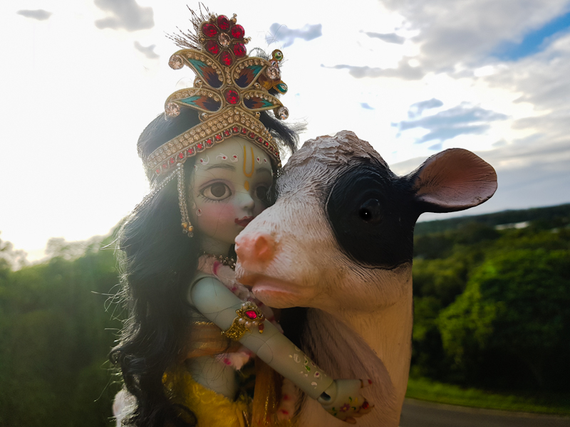 Murali hugging cow sweet Krishna doll with a forest and sky backdrop