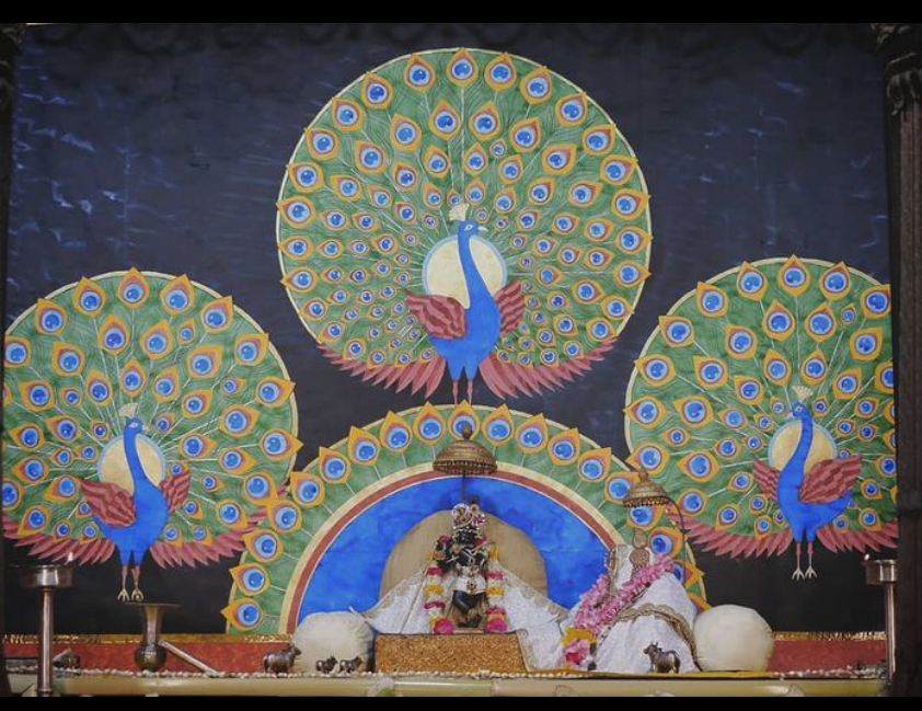 janmashtami altar decoration peacock theme for shri radharaman temple deity with three peacocks stylized don the backdrop