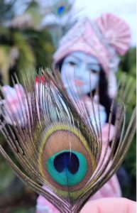 peacock feathers offered to Krishna deity can be fresh and can also be white