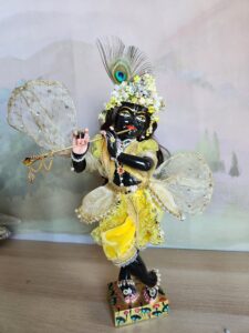 A beautifully adorned, thirteen-inch tall black marble deity of Krishna, known as Sarveshwara Krishna. He is dressed in a fresh bumblebee outfit featuring a rich velvet silk dhoti, a gauzy overskirt decorated with pearls and flowers, and a striped vest with yellow ruffles and diamond trim. His opulent mukut (crown) sparkles with diamonds and is adorned with soft, spring-like flowers. A light, gauzy shawl with subtle diamond glints flutters around Him. A soft, open rose is offered at His feet.
