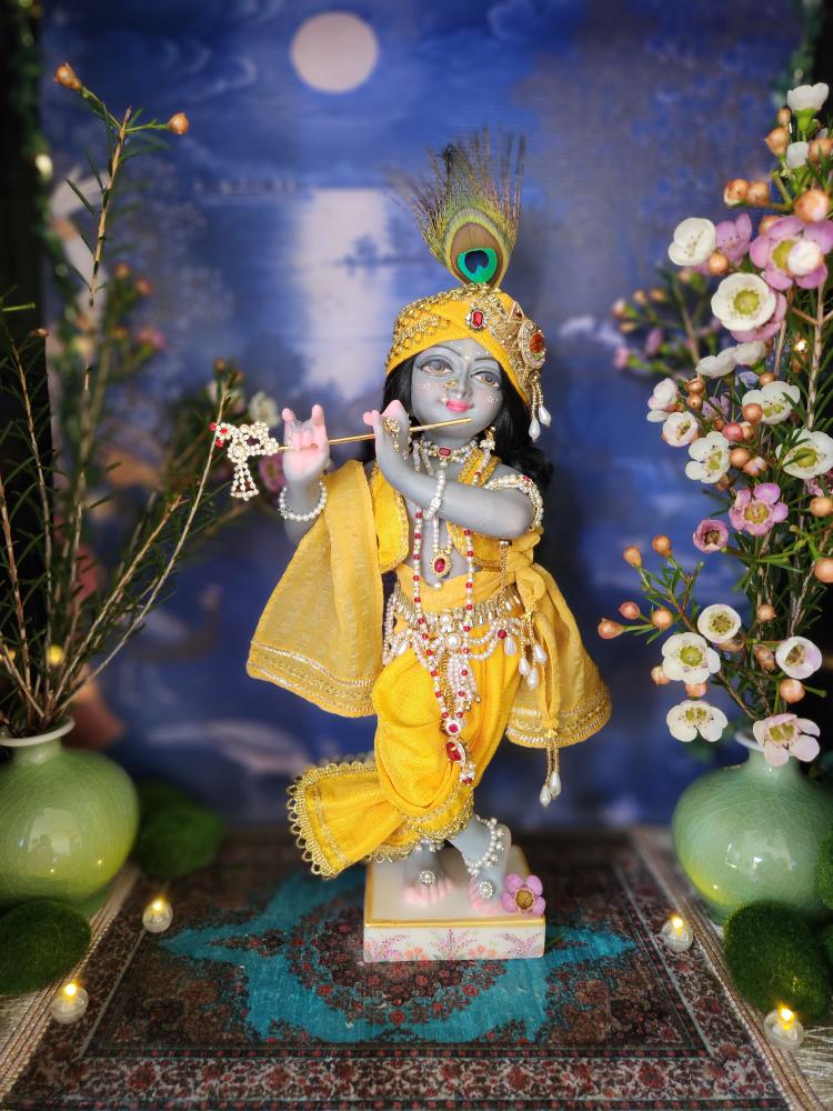 A 12-inch marble deity of Krishna playing a flute. He has dusky stormy grey-blue skin, and his smiling face is decorated with gopa dots and a tilak. He wears a jeweled turban with a pearl tassel over his long, curly black hair. The deity is dressed in a yellow vest and a long dhoti with intricate braid work, along with a yellow sash and shawl. A jeweled pearl and gold girdle is at his waist, and he wears three necklaces of pearls and rubies, along with delicate pearl jewelry on his arms and wrists. His crossed feet have anklets, and his toes and heels are a blushing pink color. The deity of Krishna is shown in a Vrindavan setting with flowers and moonlight