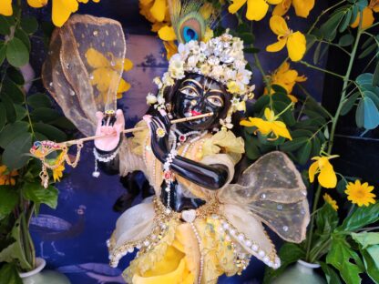 A vibrant and charming depiction of Sarveshwara Krishna in a bumblebee costume. The thirteen-inch black marble deity is adorned with a velvet silk dhoti, a delicate gauzy overskirt with pearls and flowers, and a cheerful striped vest with yellow ruffles and sparkling diamond trim. His elaborate mukut features diamonds and soft flowers, and a light shawl shimmers. A soft rose is offered as a loving gesture.