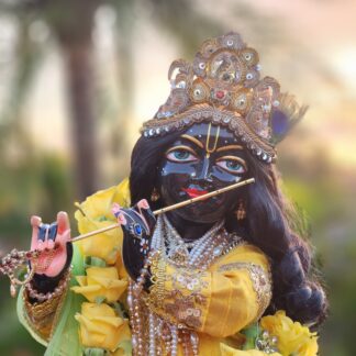 close view of black marble Syamasundar Krishna vigraha wearing yellow garland and golden crown with shafts of golden sunlight