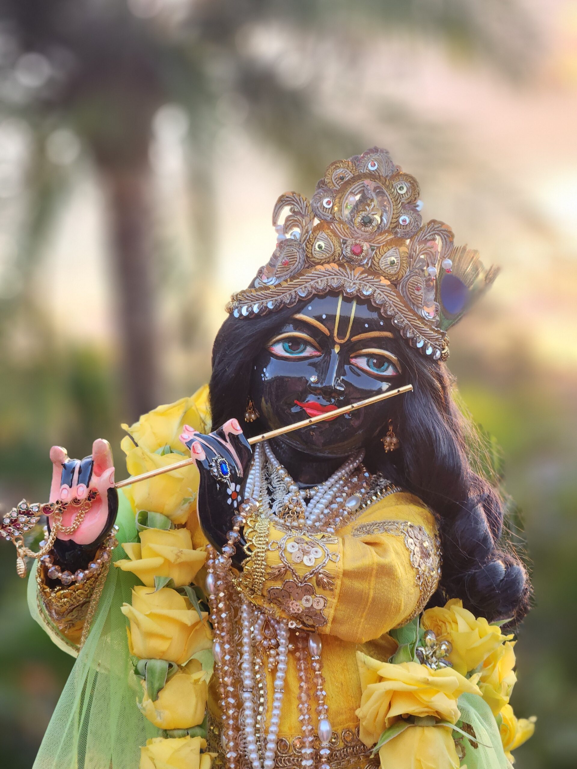 close view of black marble Syamasundar Krishna vigraha wearing yellow garland and golden crown with shafts of golden sunlight