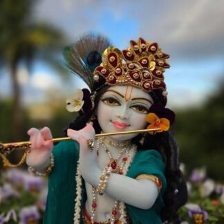 Banwari Shri Krishna Vigraha