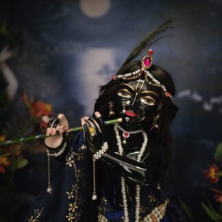 Sarveshwara Krishna