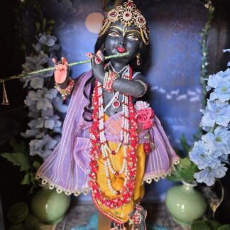 18inch deity form of Krishna wearing golden garments and lilac shawl and sash pictured in a small altar against a sky backdrop
