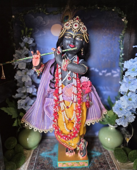 18inch deity form of Krishna wearing golden garments and lilac shawl and sash pictured in a small altar against a sky backdrop