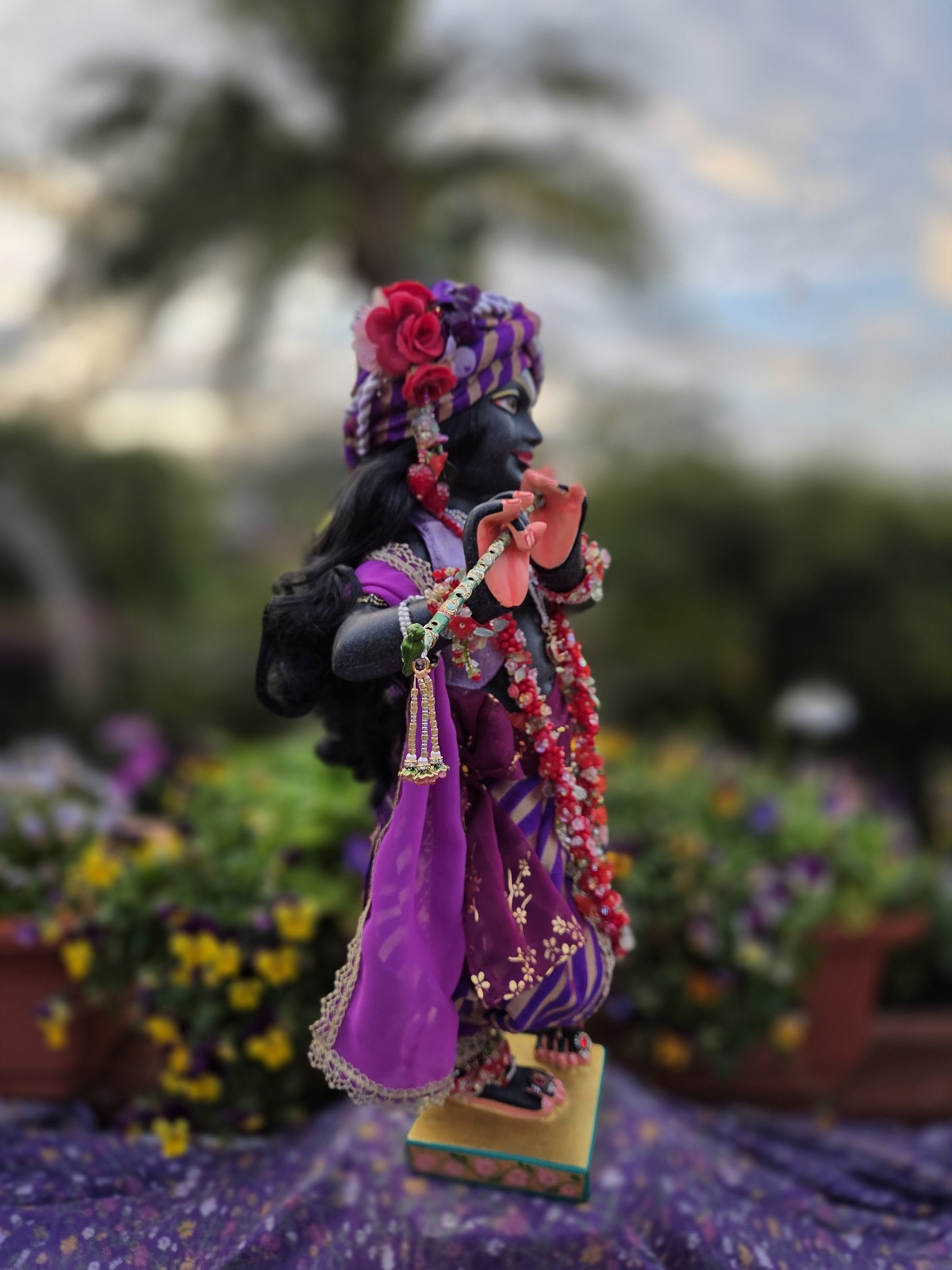 Luxurious black Marble deity of Gopinath Krishna standing with flute to His nectarian lips. Dressed in a purple shringar with gorgeous silks, chiffons, gold lace and brocade. Clothed in a dhoti, short vest, chaddar and pagri, Gopinath a hand-carved black marble Krishna deity, 18 inches tall, with 7 outfits & flower-jewel shringar included. One of a kind — free shipping. Photographed against a sky and garden backdrop