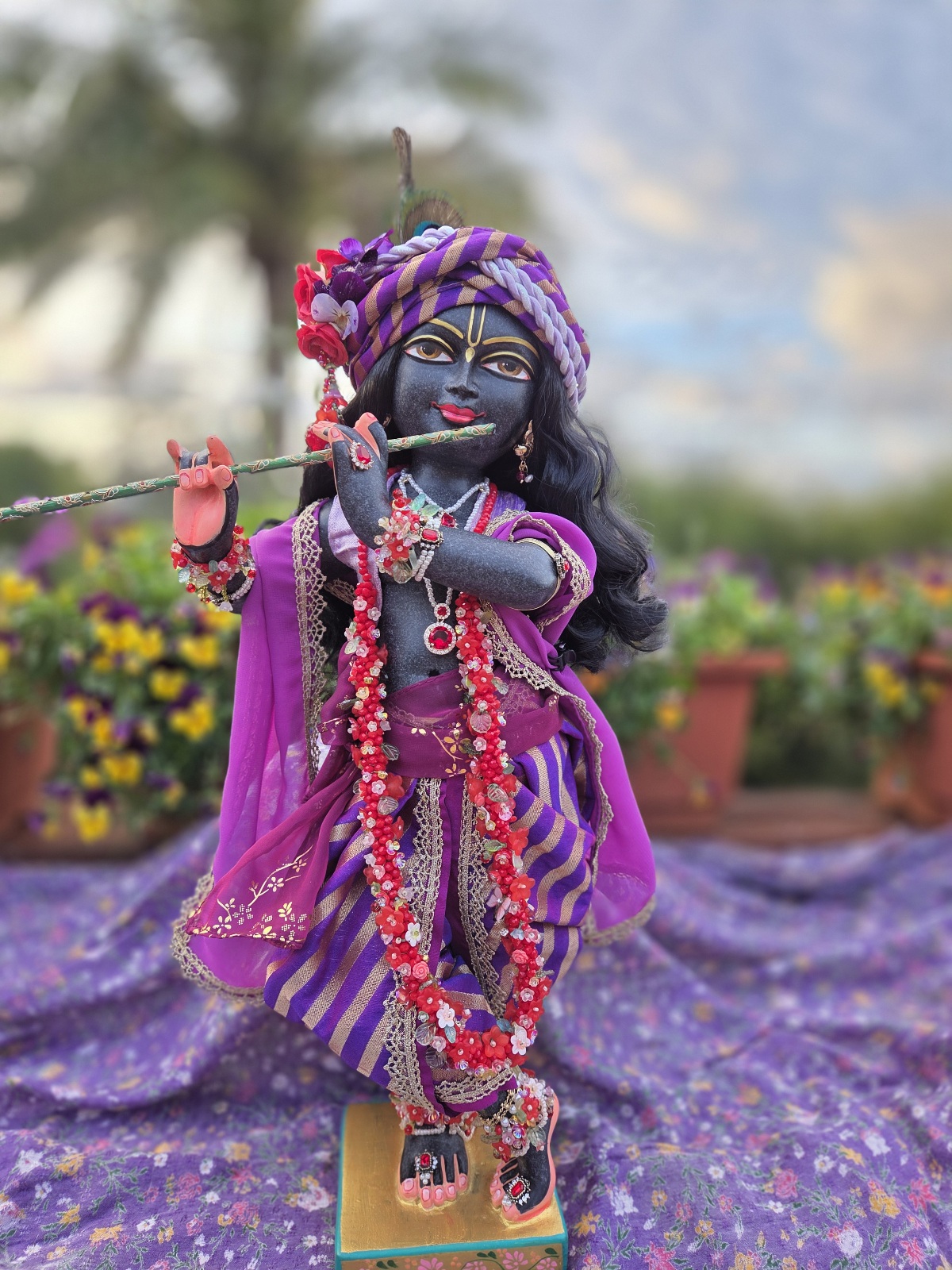 Luxurious black Marble deity of Gopinath Krishna standing with flute to His nectarian lips. Dressed in a purple shringar with gorgeous silks, chiffons, gold lace and brocade. Clothed in a dhoti, short vest, chaddar and pagri, Gopinath a hand-carved black marble Krishna deity, 18 inches tall, with 7 outfits & flower-jewel shringar included. One of a kind — free shipping. Photographed against a sky and garden backdrop