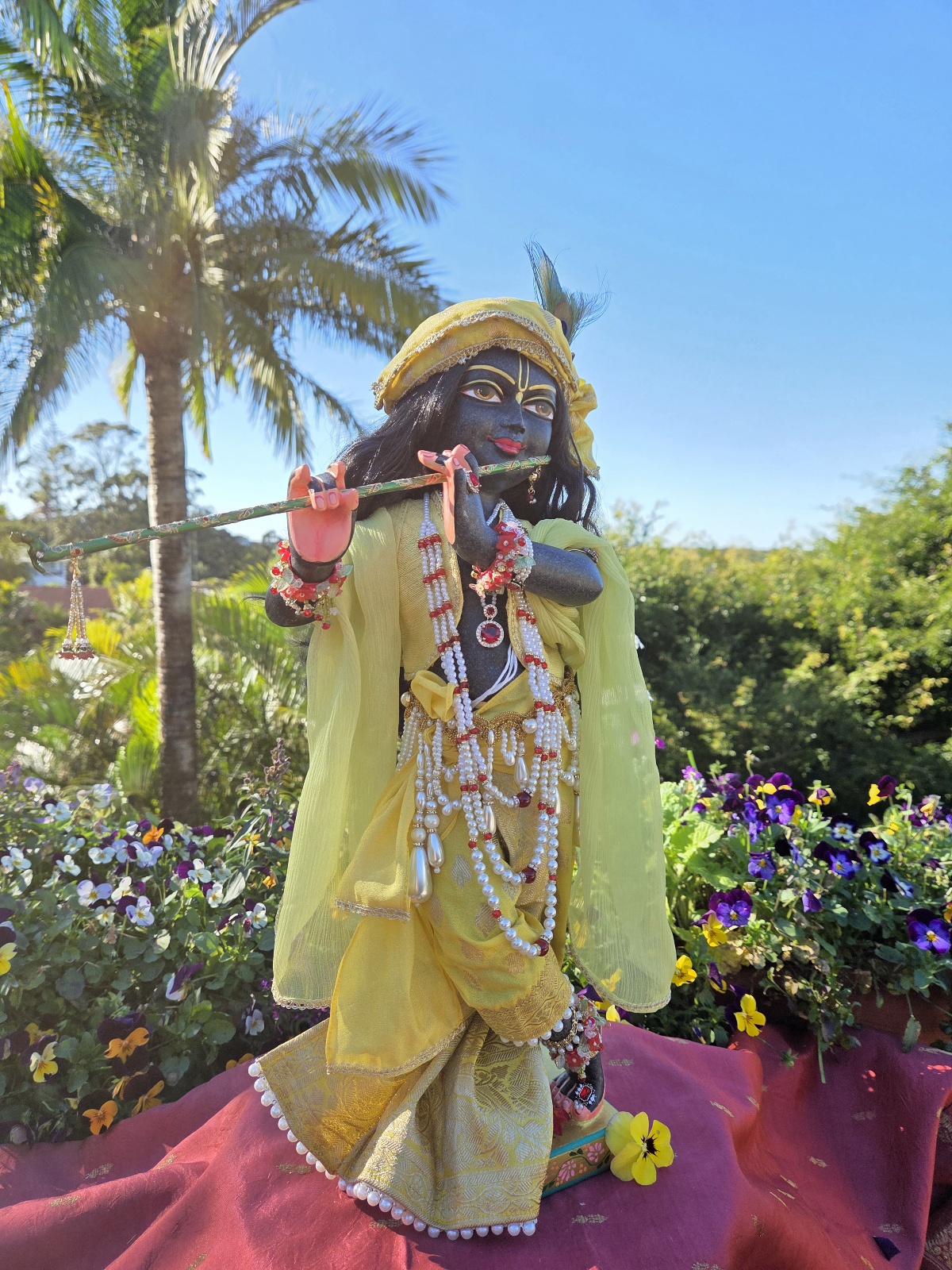 Side view of Gopinatha marble deity of Krishna. Hand carved from black marble with gorgeous skin tone the deity is dressed in yellow garments against a blue sky with palm tree and flowering pansies behind
