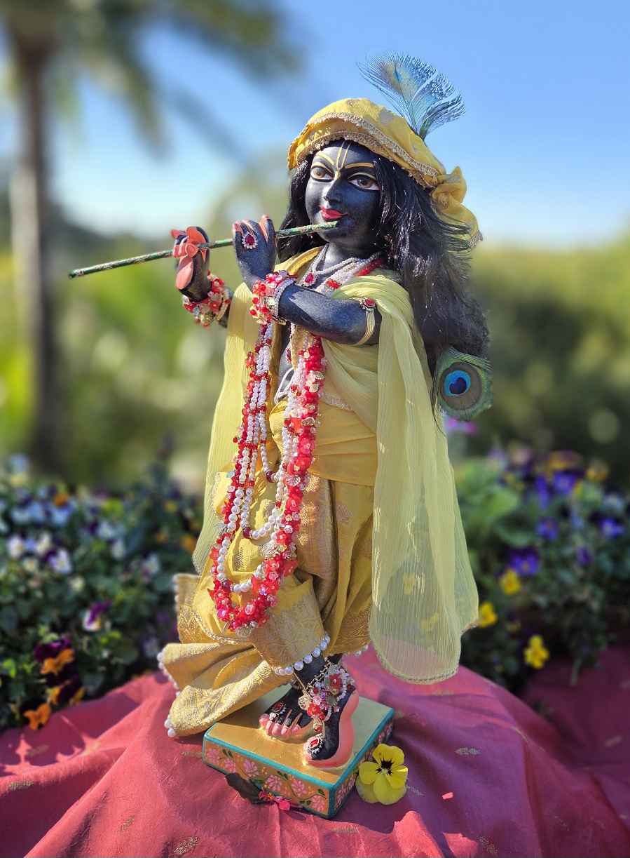 slightly angled side view of Krishna deity from head to toe. Black marble unique krishna form of Gopinath is dressed in yellow against a forest and flower backdrop