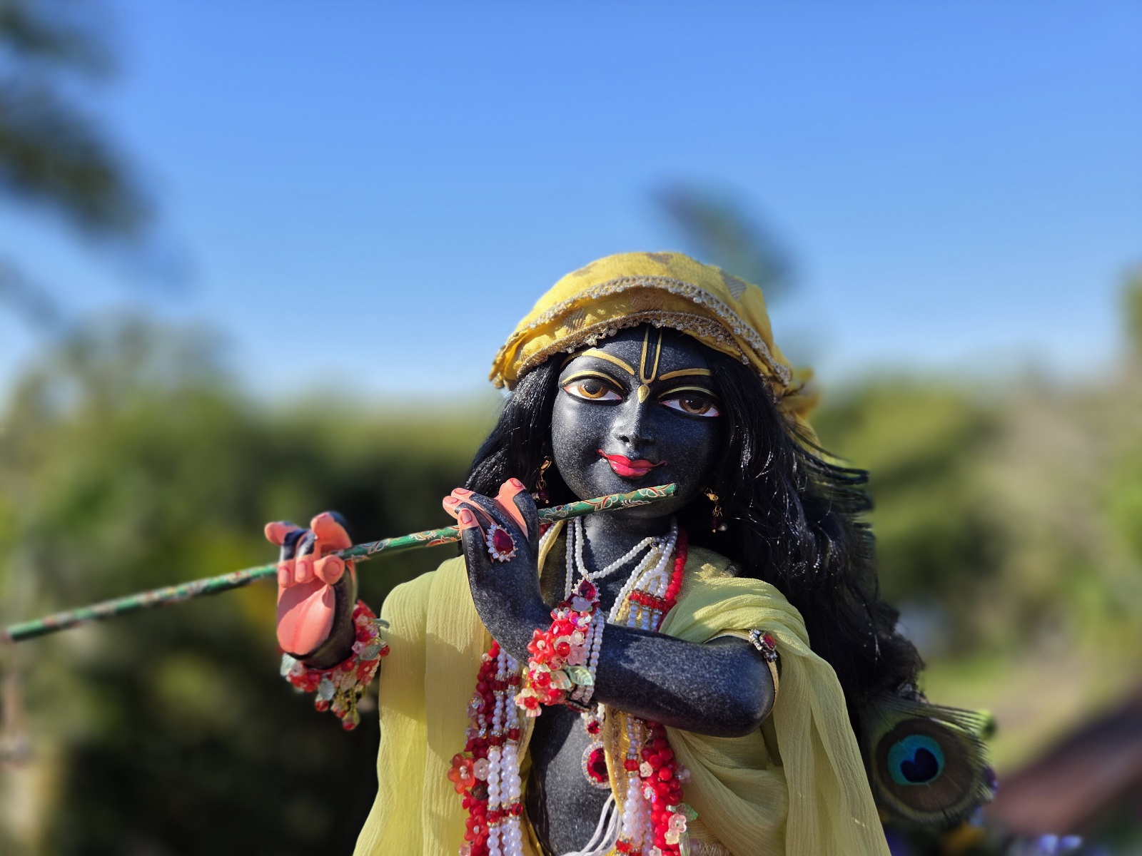 Close up view of unique Krishna deity named gopinath. His skin is black marble with special marble markings and his eyes are golden brown. in the background, a forest and blue sky