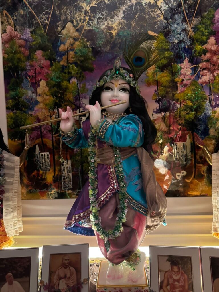 Gopal Krishna deity dressed in the gorgeous design of two toned coat of blue silk brocade and purple tafeta decorated with green jewelled garland of flowers