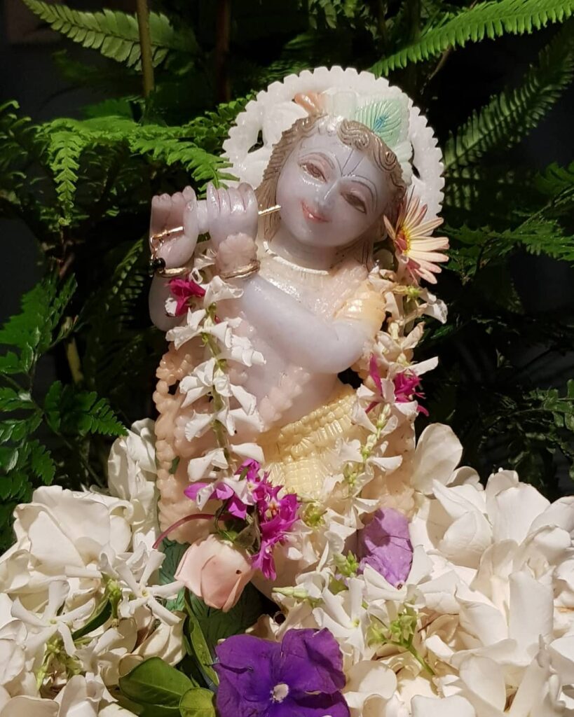 deity of goverdhan